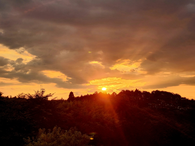 sunset-7-29